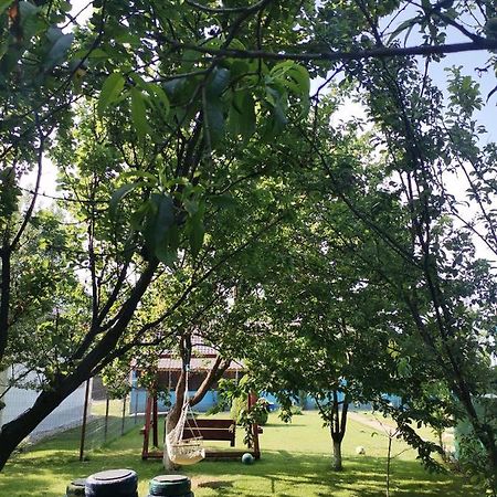 Casa Andrei A 호텔 코르부 외부 사진